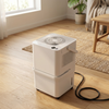 Dehumidifier with 12L Tank, Continuous Drain, with WiFi Control