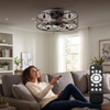 20-Inch Flush Mount Caged Ceiling Fan with Light and 6 Speed Remote