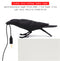 The Bird Lamp – Elegant LED Wall Light for Home & Decor