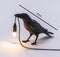 The Bird Lamp – Elegant LED Wall Light for Home & Decor