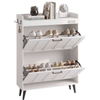 Slim Shoe Storage Cabinet with Two Flip Drawers and Deodorizer