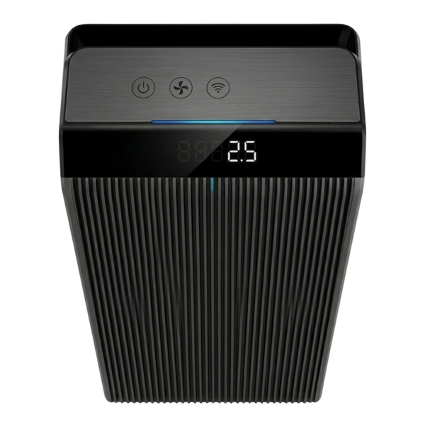 Large Room HEPA Air Purifier with Carbon Filter and Auto Mode